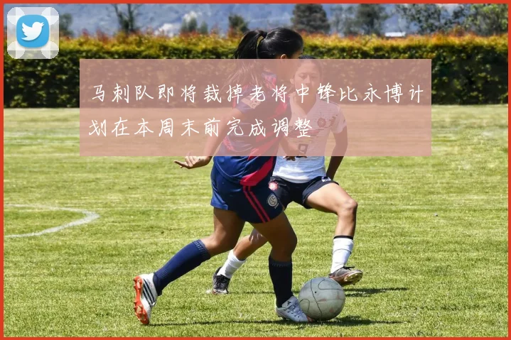 马刺队即将裁掉老将中锋比永博计划在本周末前完成调整