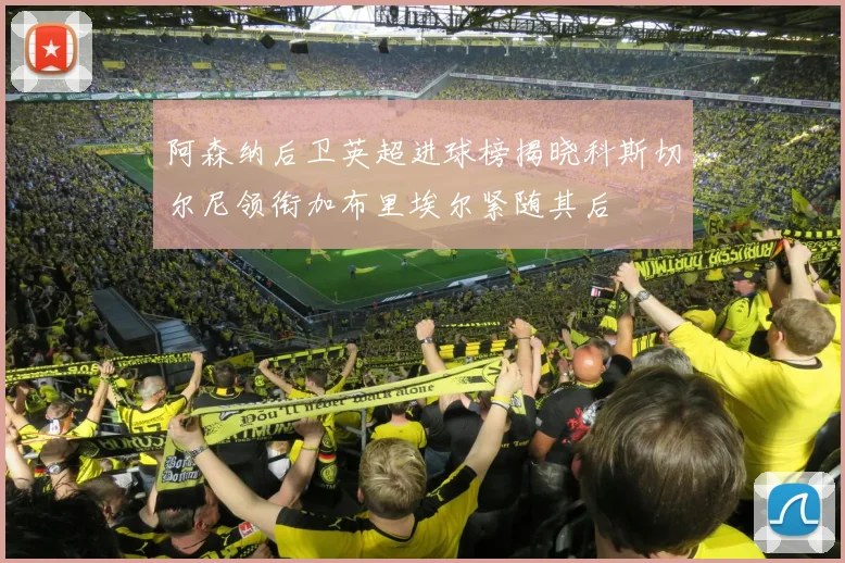 阿森纳后卫英超进球榜揭晓科斯切尔尼领衔加布里埃尔紧随其后