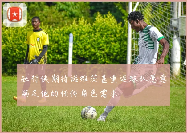 独行侠期待诺维茨基重返球队愿意满足他的任何角色需求