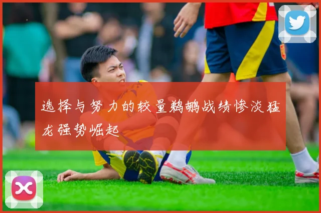 选择与努力的较量鹈鹕战绩惨淡猛龙强势崛起