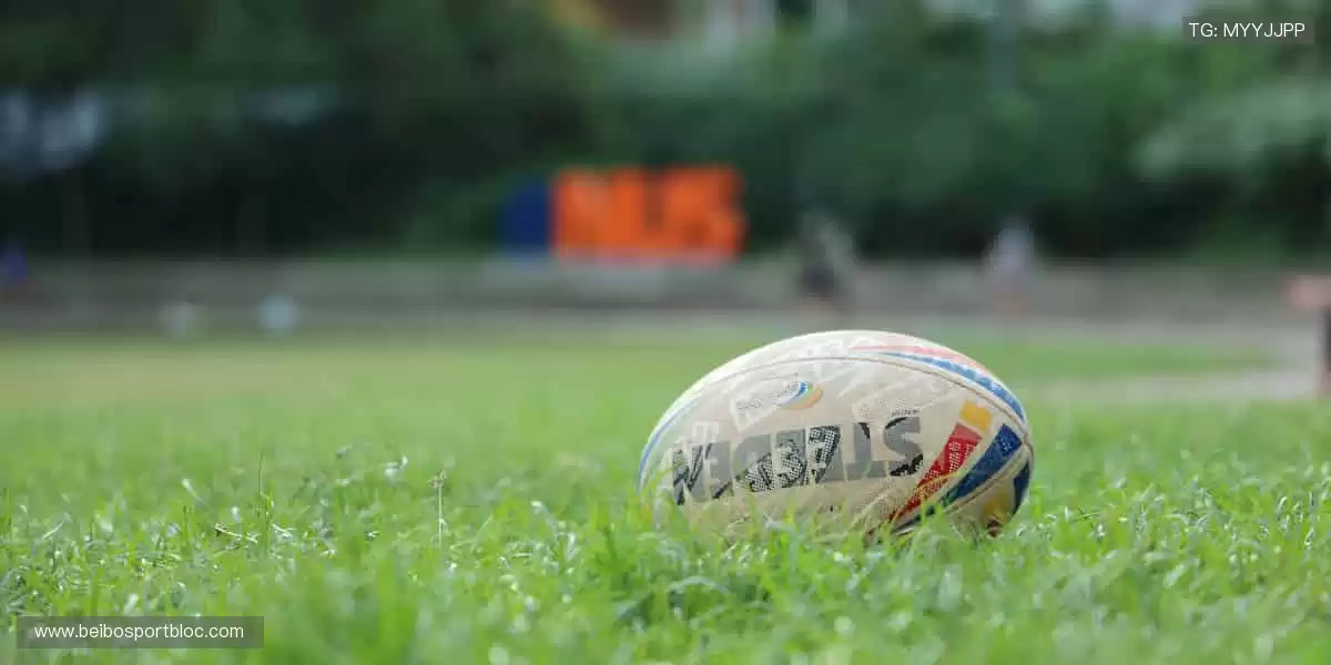 🎯 限量周边,粉丝专属!🎁